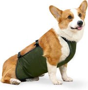Gilet di protezione per cani, busto impermeabile, protezione addominale, pettorale per cani, giacca per animali domestici, adatto per femmine, corgi, teckel, bulldog (S)