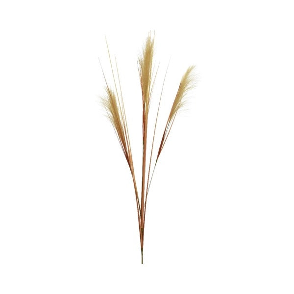 PENNACCHIO DECORATIVO 35XH115CM SABBIA