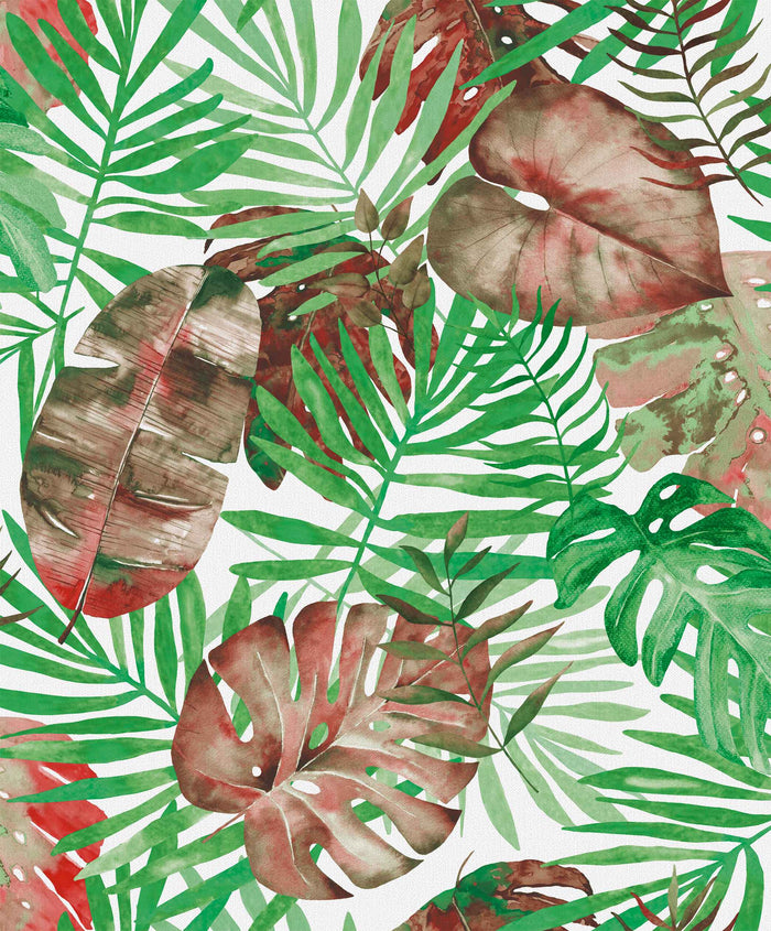 PARATO JUNGLE VERDE/MARRONE