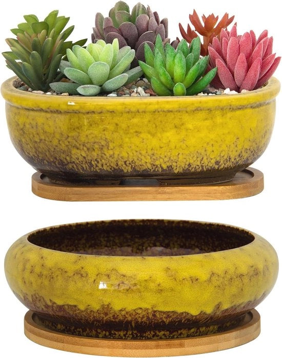 Pannelli di coltivazione ceramici con drenaggio e cassetta in bambù per interni - vasi rettangolari e rotondi per cactaceae e bonsai