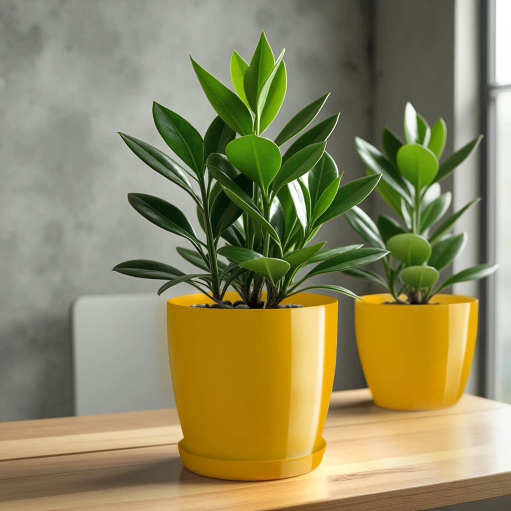 Coprivaso KADAX da 18 cm con sottovaso, in plastica gialla, 3 pezzi