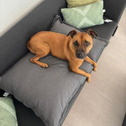 Coussin pour chien 80 x 55 cm - MADISON SÃ©rie Lounge - Gris