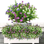 Fiori Resistenti alle Intemperie - 6 Raccolte - Senza Manutenzione e Multicolore