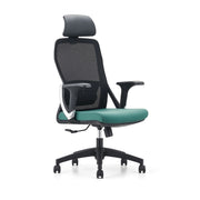 Sedia da ufficio CIAMO (nera + verde)
