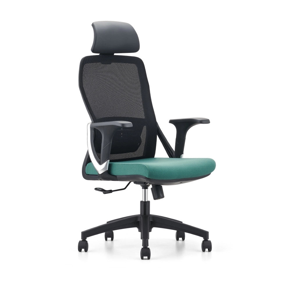 Sedia da ufficio CIAMO (nera + verde)