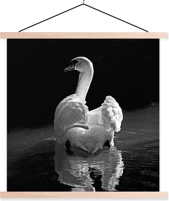 Supporto per poster con poster - Scuola - Cigno bianco - 90x90 cm - Lattice bianca