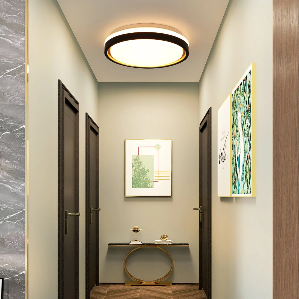 ZMH Lampada da soffitto plafoniera LED dimmerabile telecomando moderna 30 cm per soggiorno corridoio