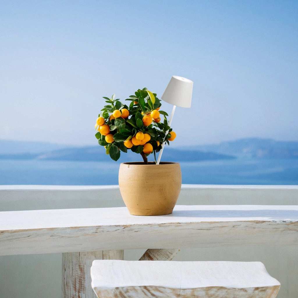 Zafferano Poldina Lampada da giardino con picchetto a batteria ricaricabile portatile colore Bianco - Illuminazione LED touch dimmerabile per esterni