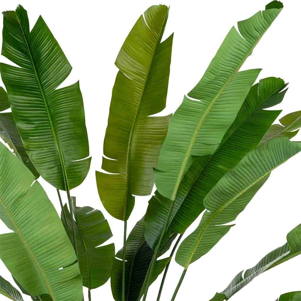 Sterlitzia decorativa artificiale con 18 foglie verde 95x95x240