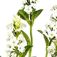 Set 6 Rami Artificiali di Bidens Composto da 5 Fiori Altezza 62 cm Bianco