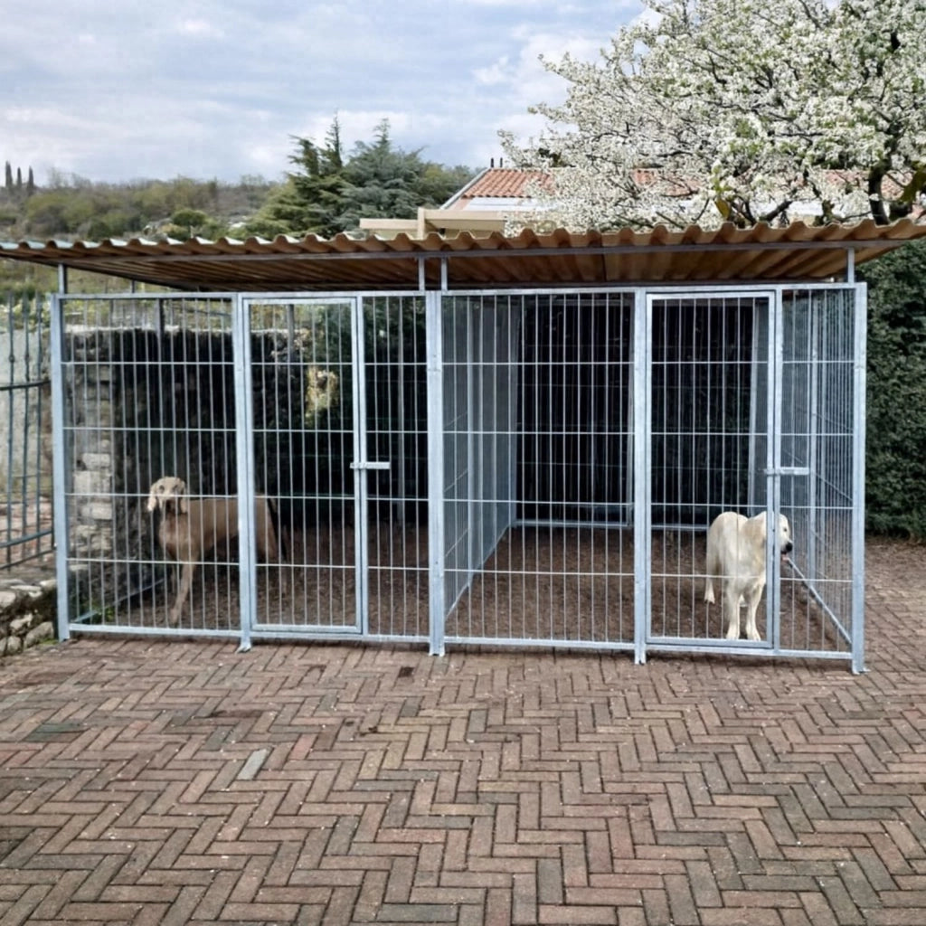 2 box per cani da esterno coperto con zincatura a caldo ciascuno da 300x200x altezza 180 cm