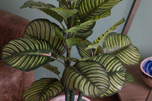 Pianta Artificiale Calathea in Vaso con 22 Foglie H 85 cm
