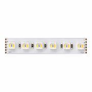 Striscia LED Professionale Fine 71 RGB+CCT, 5 Metri, 24V, 21W/m, 96 LED/m, IP20, Temperatura Colore Regolabile da 2.700K a 6.000K, Versatile