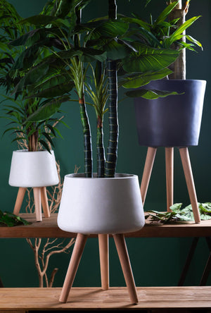 Vaso con Gambe Faggio Misure 31x59 cm