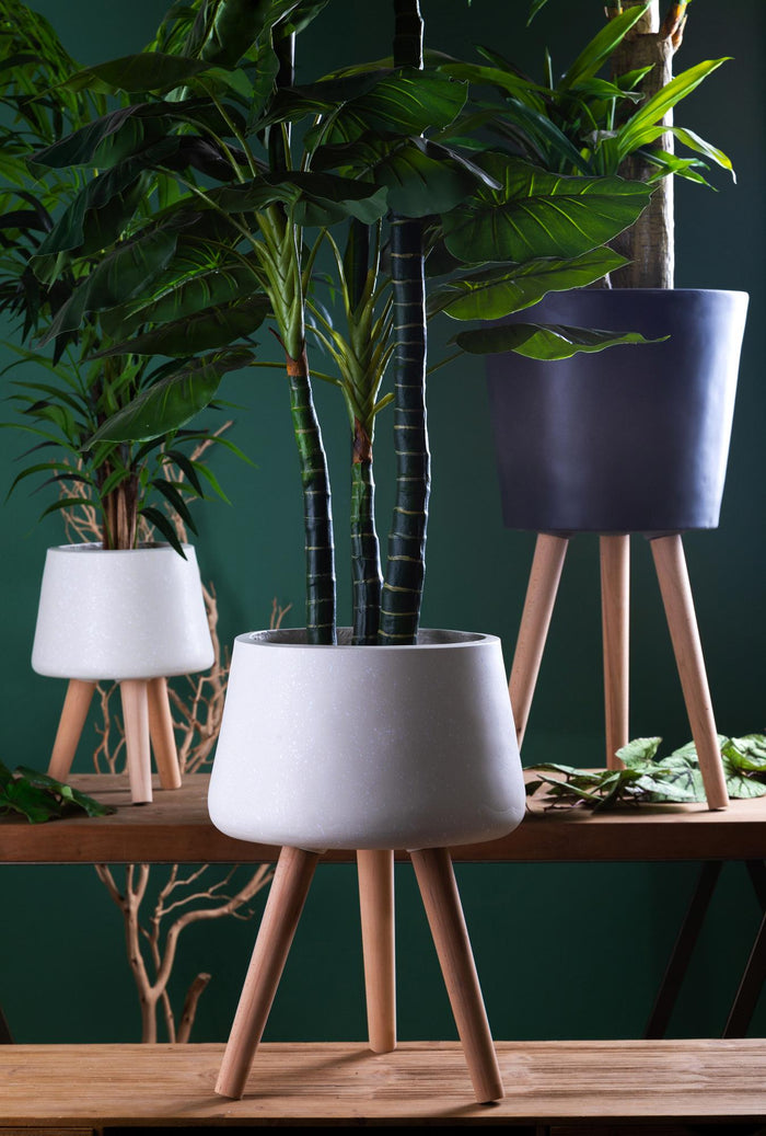 Vaso con Gambe Faggio Misure 31x59 cm