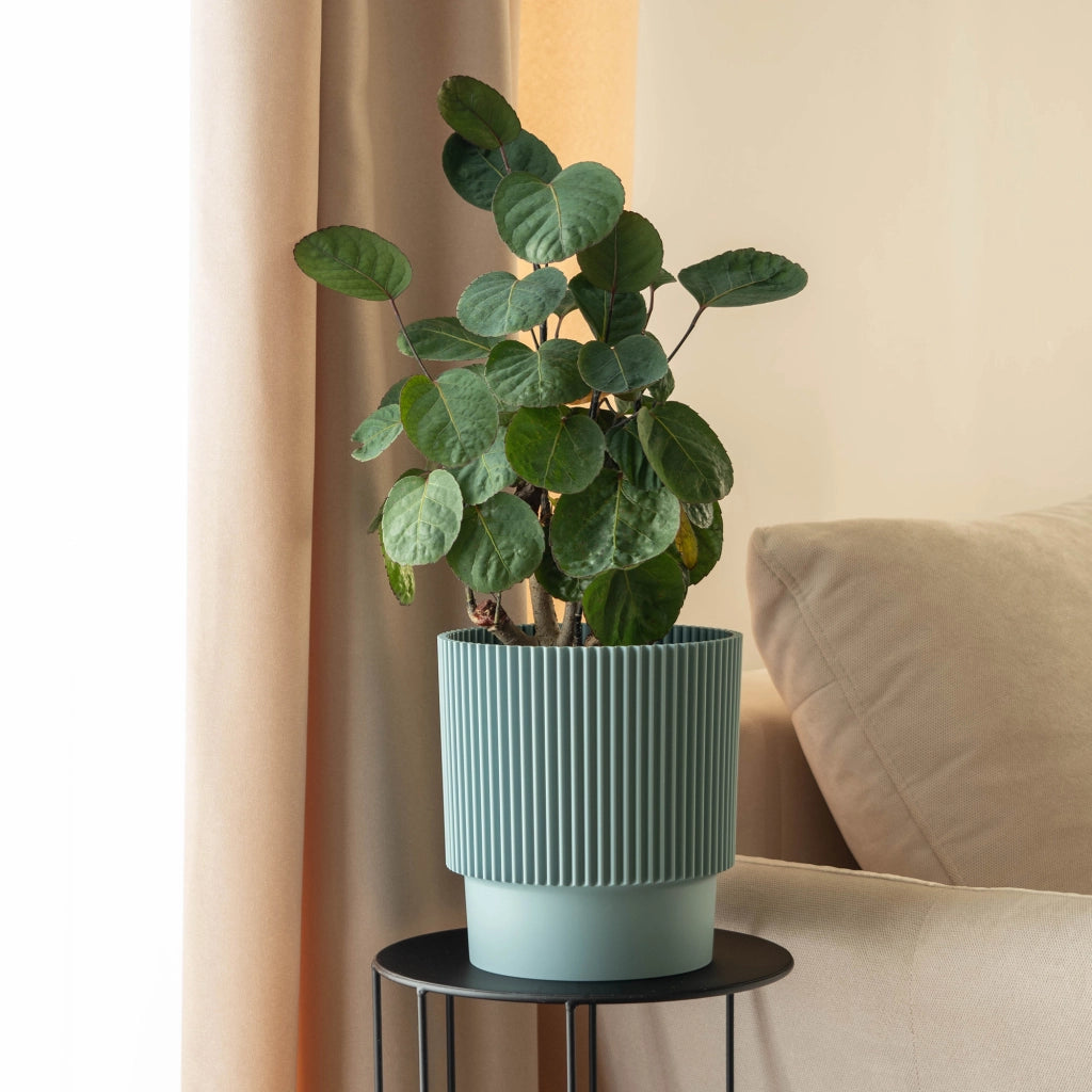 Vaso da fiori KADAX 15 cm, copripianta, vaso da fiori in plastica verde