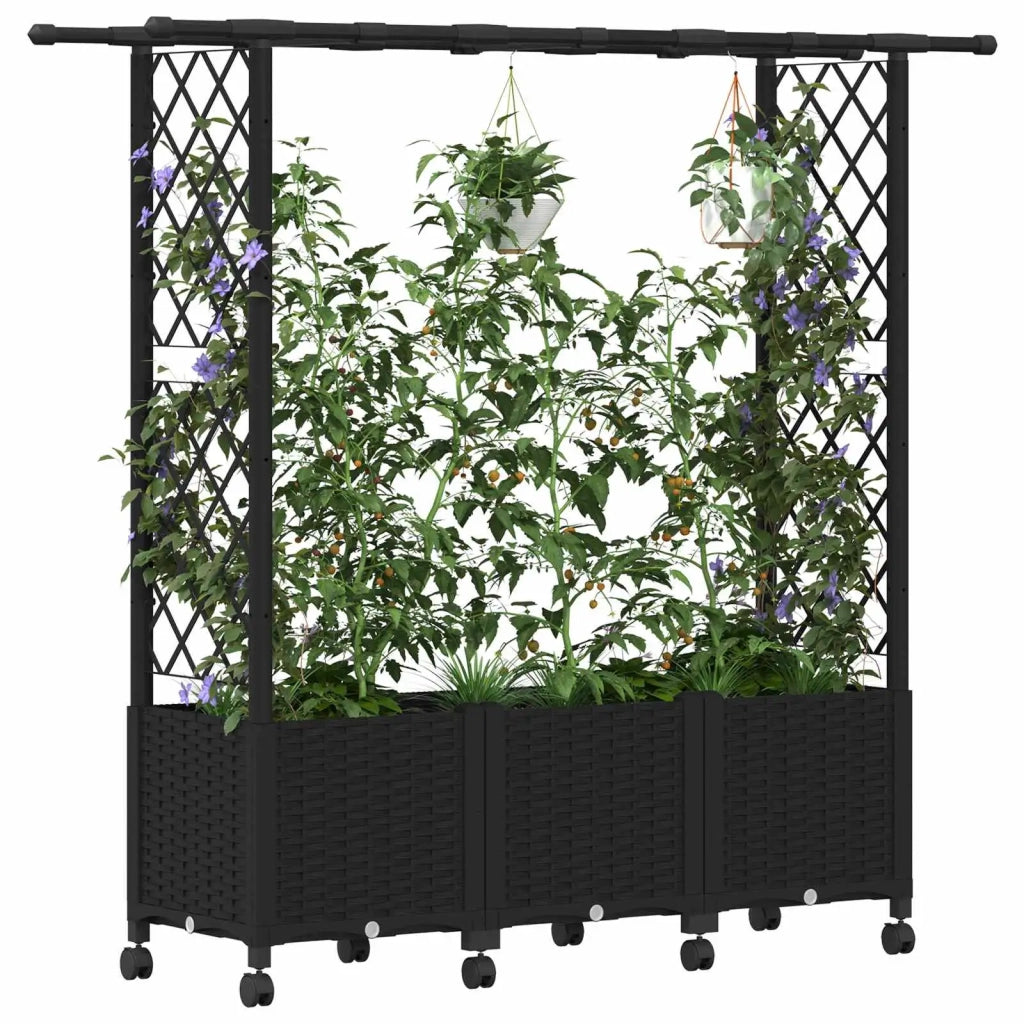 Letto Rialzato con Griglia e Tetto Nero 162,5 x 40 x 142 cm PP 3423117