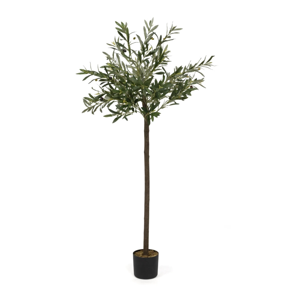 IDMarket - Ulivo artificiale alto 150 cm