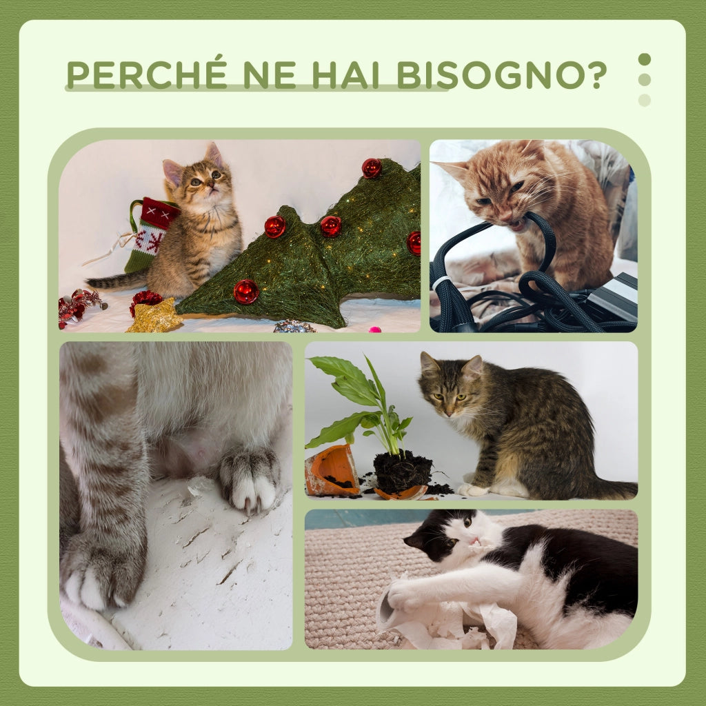 Lettino per Gatti con Tiragraffi Sisal ¨C Zephmum ¨C Verde e Bianco