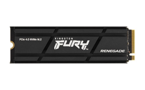 Kingston Technology 1000G RENEGADE PCIe 4.0 NVMe SSD W/ Dissipatore di calore