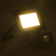 Faretto a LED con Sensore 20 W Bianco Caldo CFW6572399
