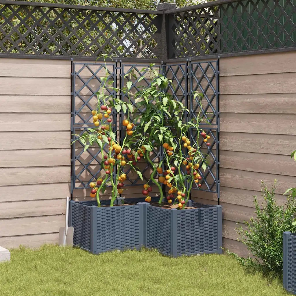 Vaso da giardino 3 pcs Grigio Chiaro 80 x 80 x 143 cm Plastica 42002887