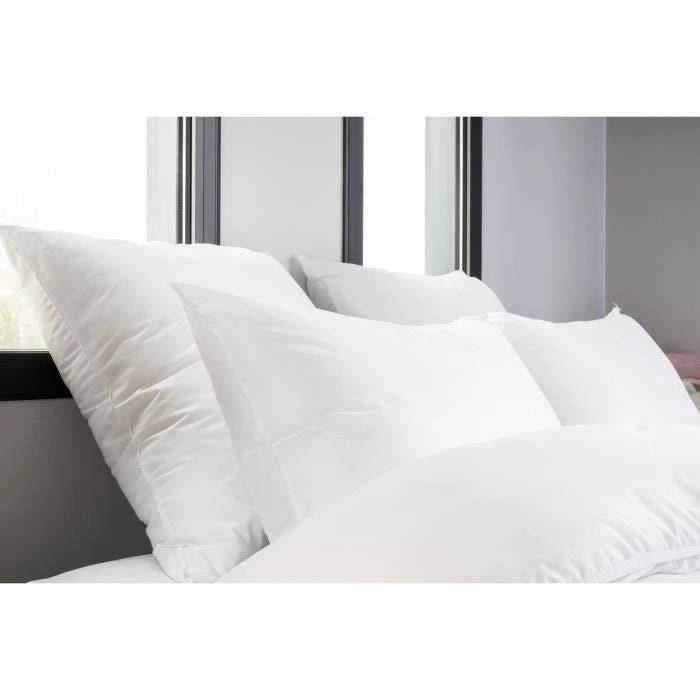 Set di 2 cuscini - Finitura di Bourdon apparente - 60x60 cm - Blanreve