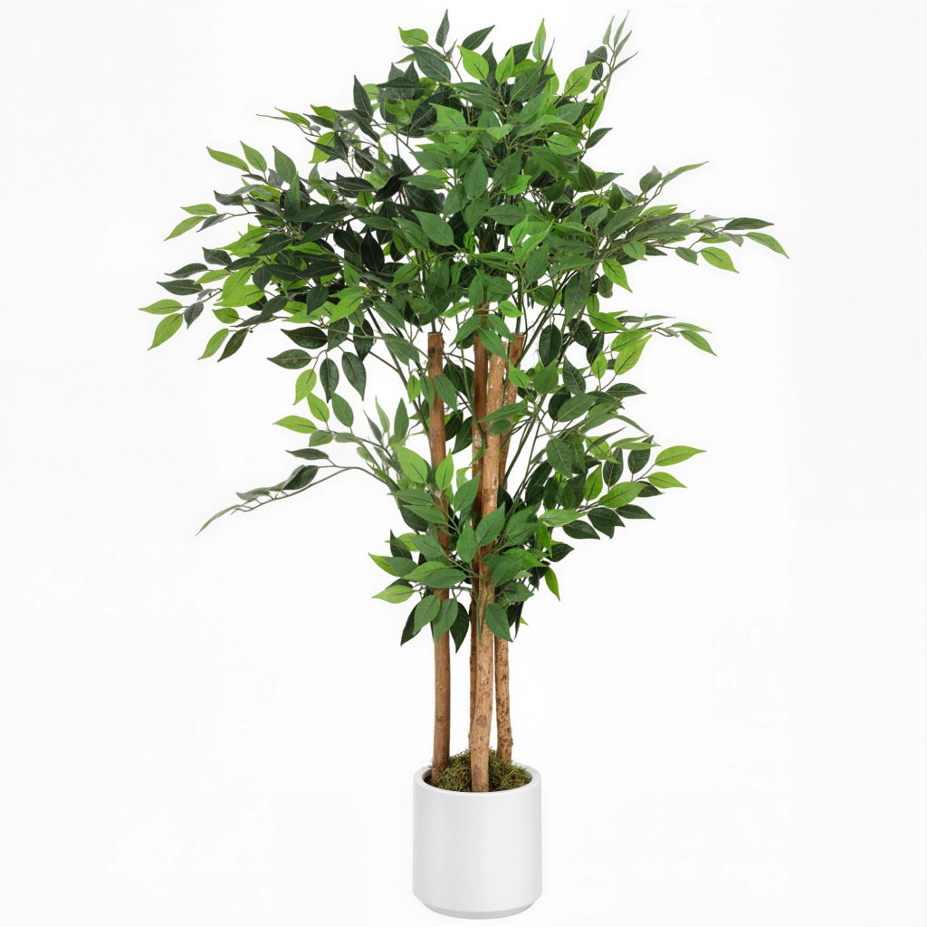Pianta Artificiale di Baniano Verde in PEVA e Legno con Vaso Contenitore in PP e Cemento, 55x55x120 cm