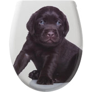 Tiger labrador sedile per wc, bianco, 45.2x52.1x3.7 cm
