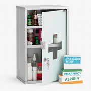 Armadietto Porta Medicinali Acciaio Inox e Vetro Satinato 49x25x12 cm con Chiave