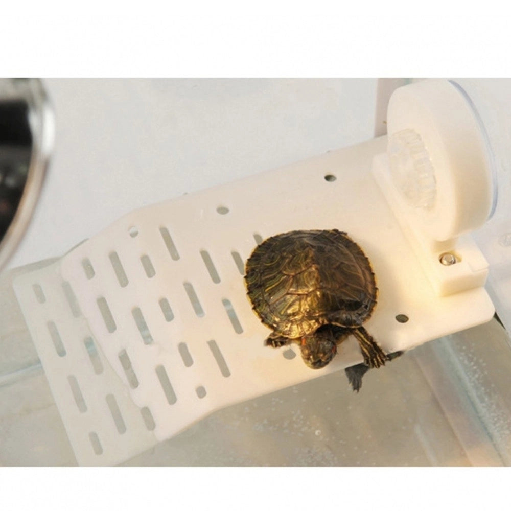 Trade Shop - Isola Galleggiante Plastica Con Ventosa Piattaforma Tartarughe Rettili Acquario -