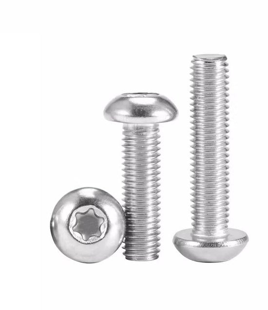 Viti a Torx/lenskopschroef M2 x 8 mm - 100 pezzi - Base a punta - Elevato momento di torsione - Viti