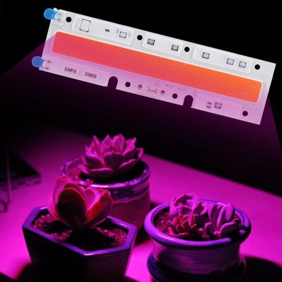 Luce a LED a Cob Full Spectrum Lampada per Piante per Indoor Serra - Semi di Verdura Idroponica - 70 W 220 V