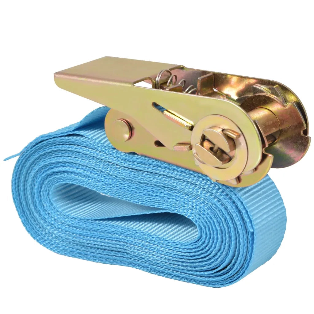 Cinghie d¡¯Ancoraggio 10 pz a Cricchetto 0,8 T 4mx25mm Blu CFW3909578