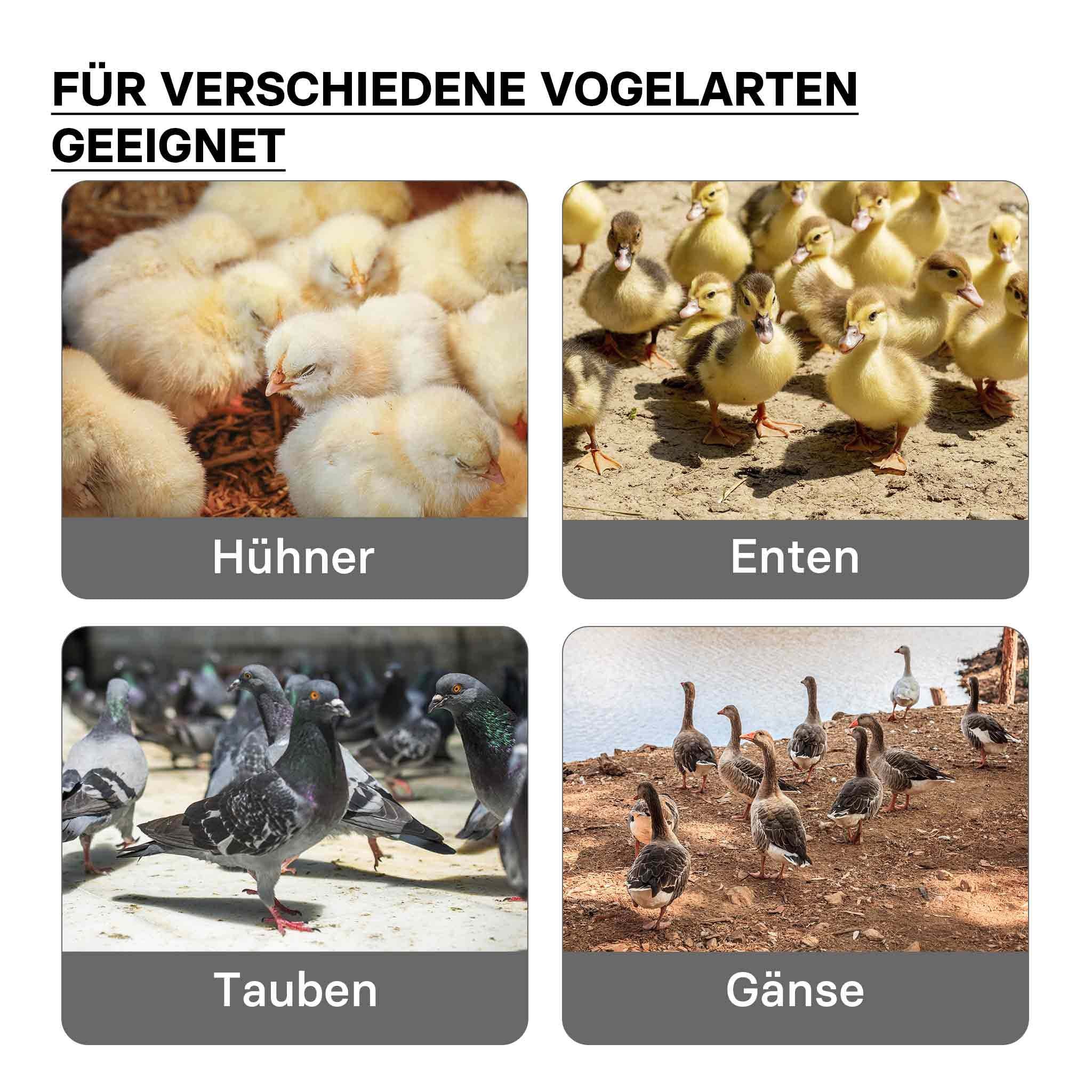 Fudajo Chioccia artificiale 35x35cm 50W Piastra termica per 50-30 pulcini, temperatura regolabile