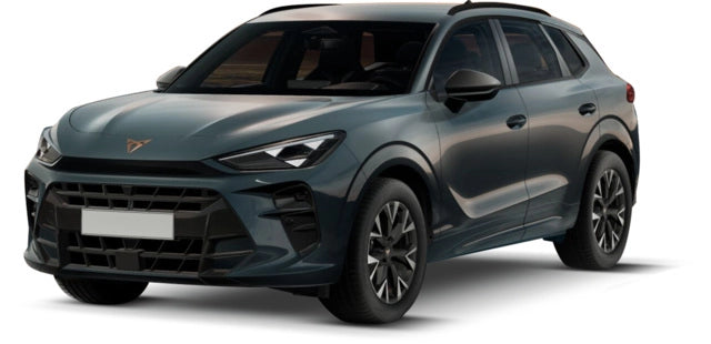 RIGUM906608 , Tappeti per Auto Gomma per Cupra Terramar dal 2024-, Audi Q3 (FJ) dal 2025-