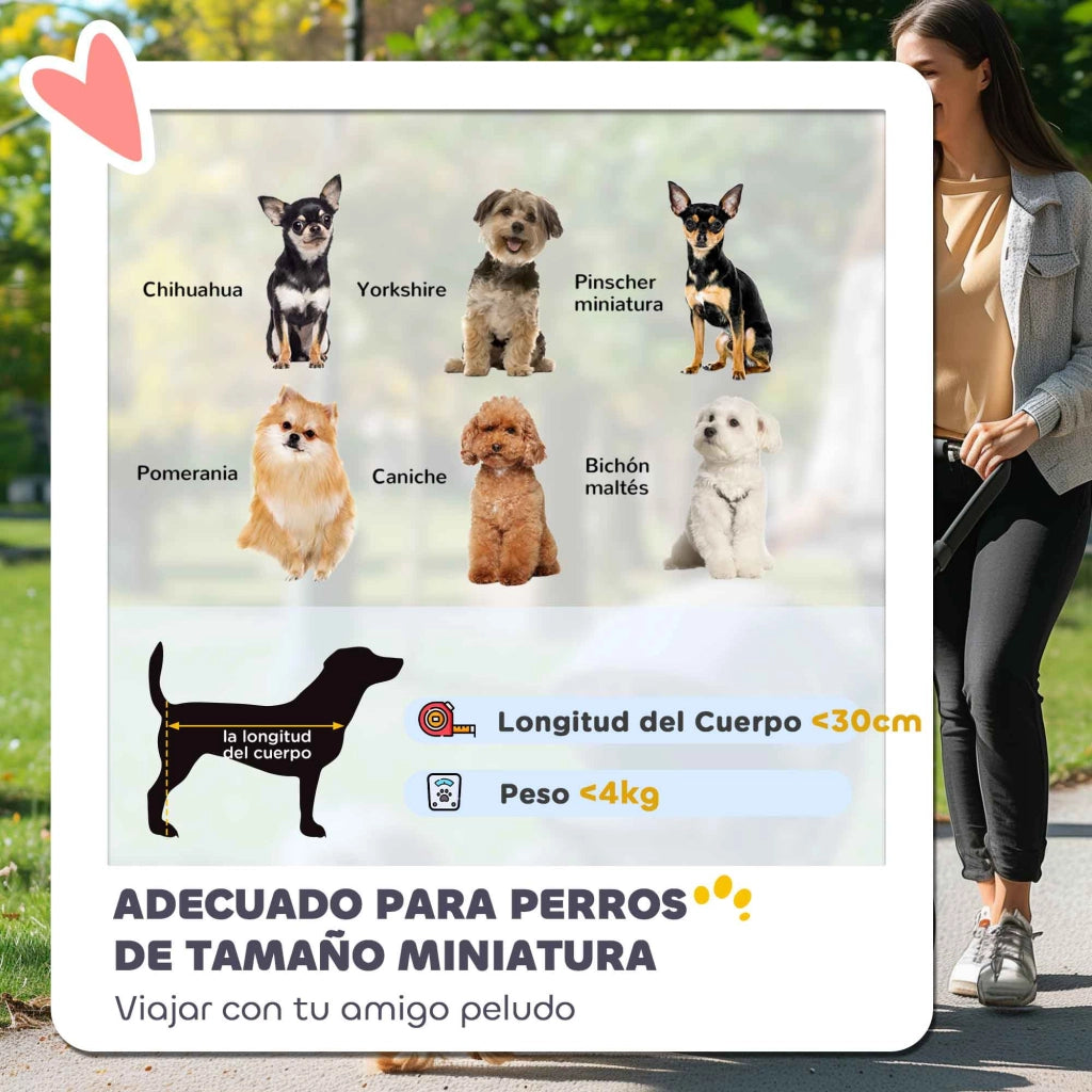 Cuscino per Cane con Portavaso e Finestre in Rete ¨C Zephmum ¨C Blu