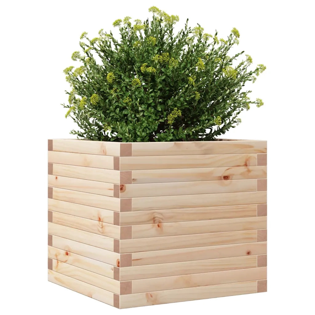 Fioriera da Giardino 50x50x46 cm in Legno Massello di Pino
