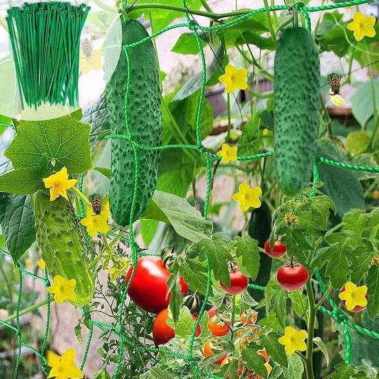 Clip per piante per pomodori, rose, zucchine e altre piante rampicanti, Rete per piante rampicanti (2*5m)