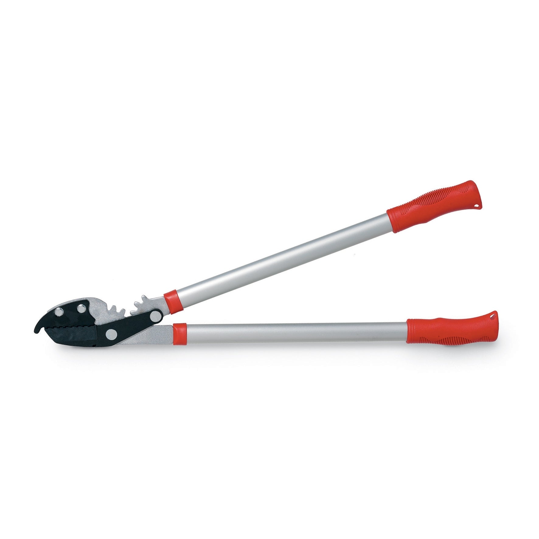 TRONCARAMI INCUDINE C/DEMOLTIP