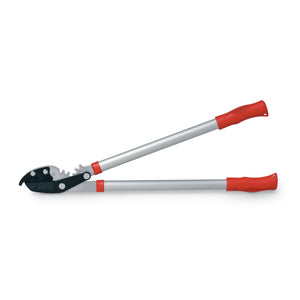 TRONCARAMI INCUDINE C/DEMOLTIP