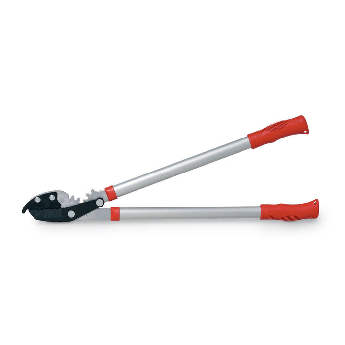 TRONCARAMI INCUDINE C/DEMOLTIP