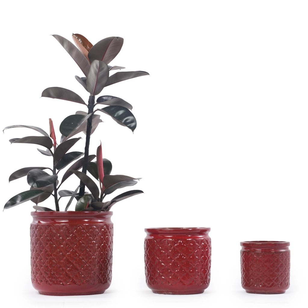 VASI Set da 3 pezzi in ceramica Ø 38/30,5/23 cm rosso vinaccia lucido