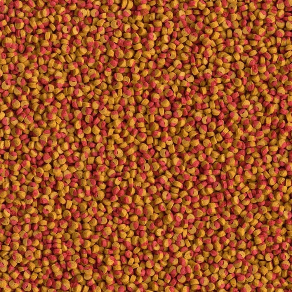 Tetra Cichlid Colour Mini Pellets 500ml/165gr - Alimento completo per tutti i ciclidi di piccola taglia