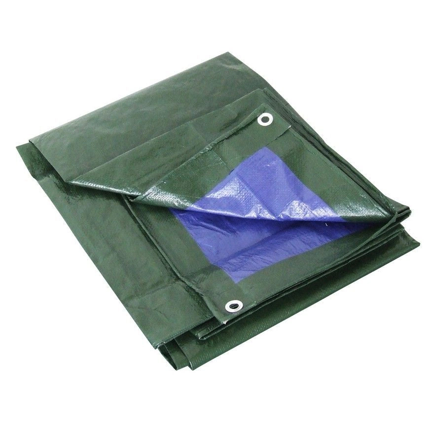 Labor 68292 Telone Occhiellato PVC 100 gr-m² 6x8 m Impermeabile Antistrappo Occhielli Policarbonato colore Verde