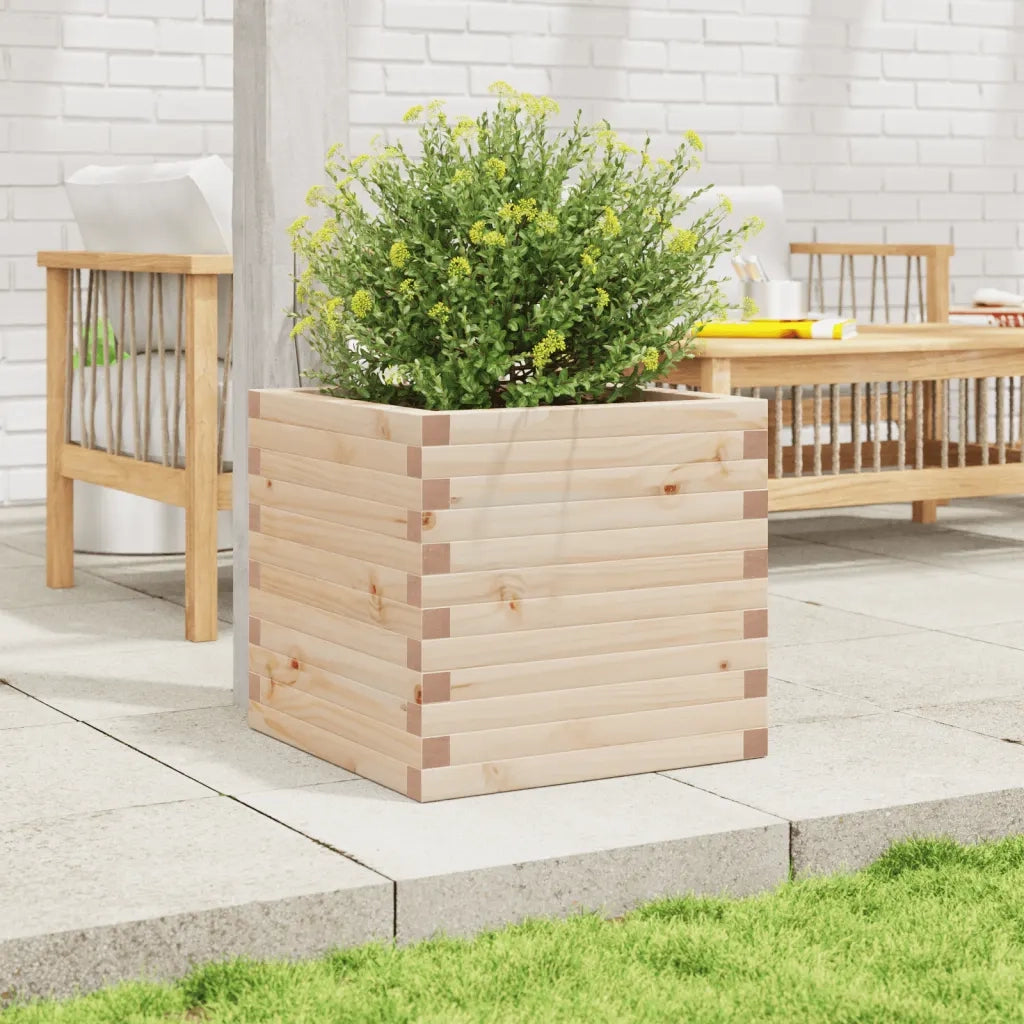 Fioriera da Giardino 50x50x46 cm in Legno Massello di Pino