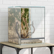 Terrario con archiviazione Trasparente 30 x 30 x 40 cm Vetro 42020388