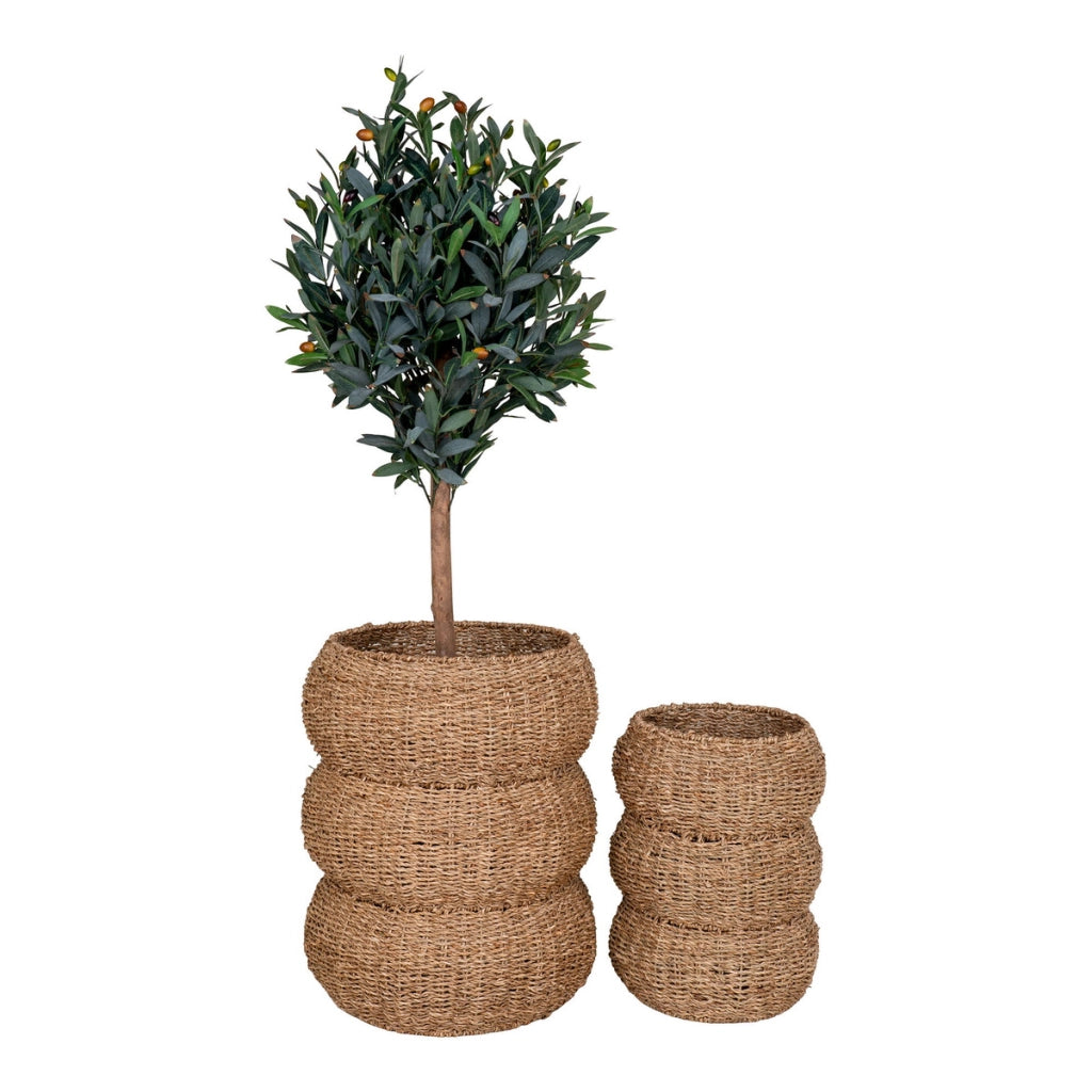 Set di 2 Cesti Portaoggetti Sarbas, Marrone, Erba Marina, 25x25x35 cm