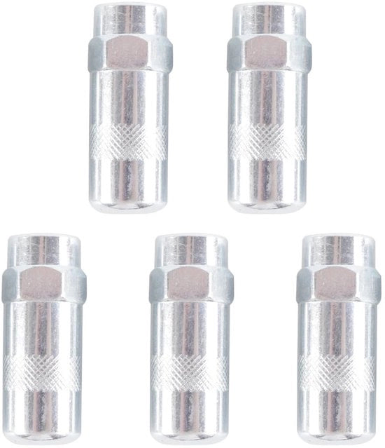 Viti a pressione 5 pezzi - punta a ago per pistola a pressione alta - 1/8 NPT connettore - alta qualità acciaio - galvanizzato - resistente alla rottura - punta lubrificata