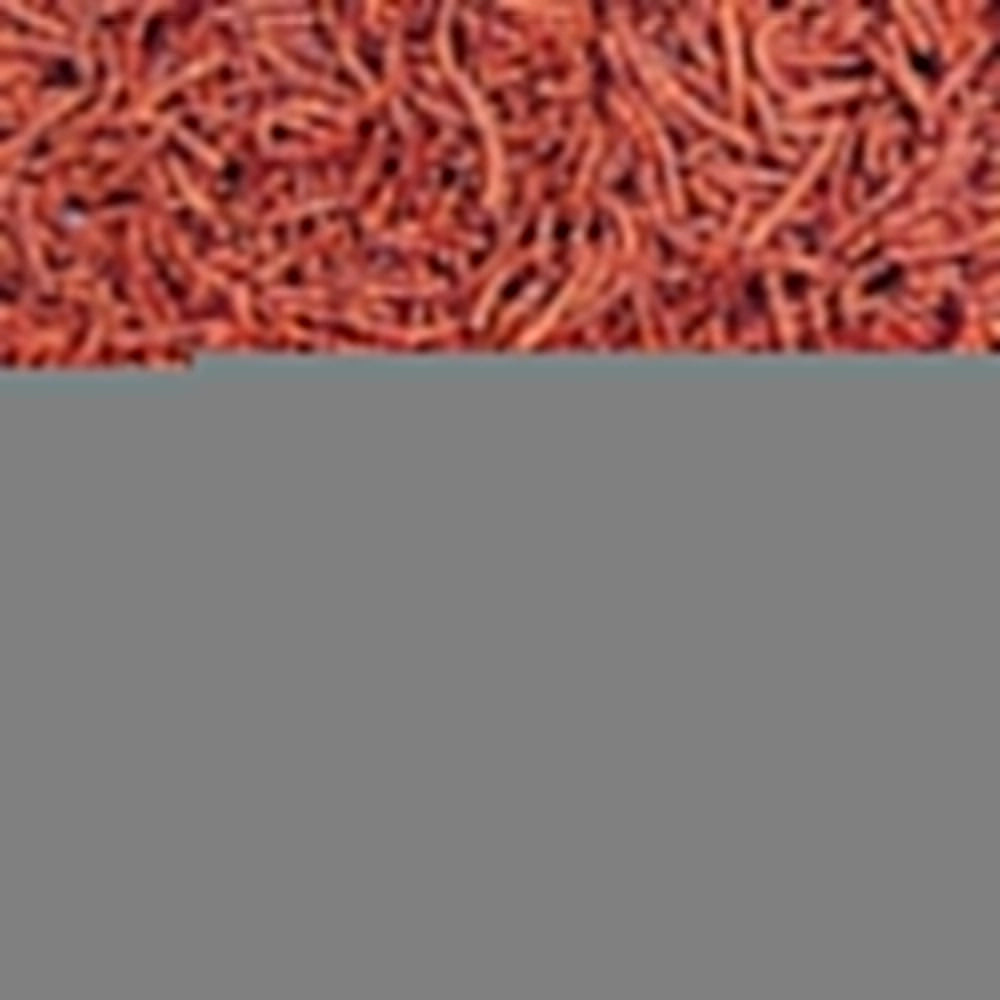 Ocean Nutrition Discus Pellets 125gr - Alimentazione Premium per Discus ed Altri Pesci Tropicali